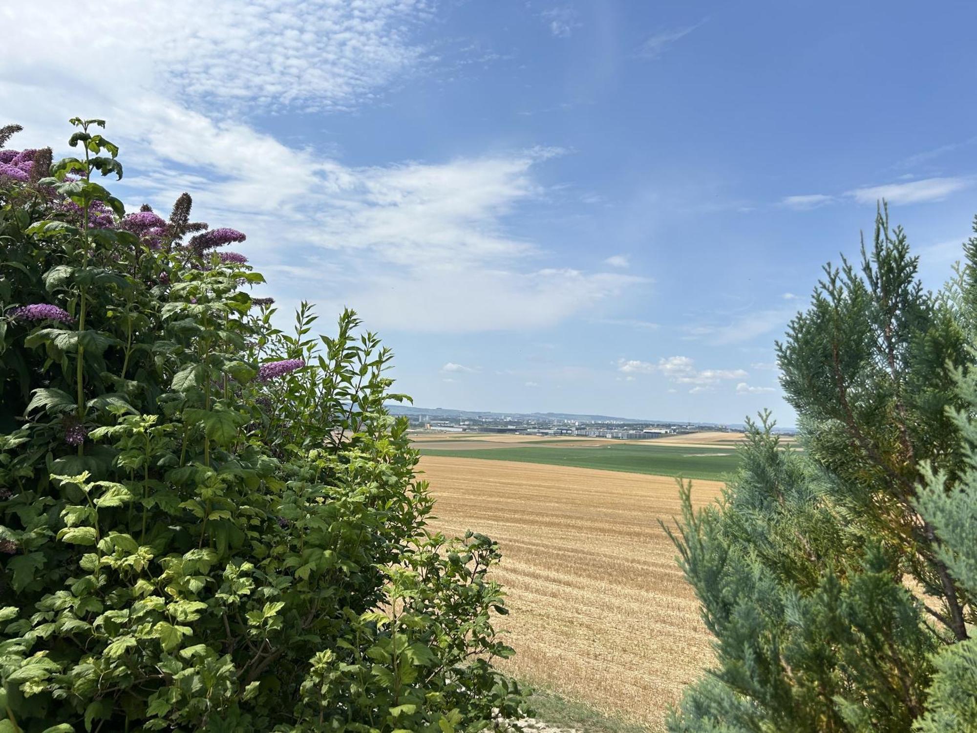 Le Charme Villa Cernay-les-Reims Ngoại thất bức ảnh